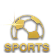 home sports icon ov